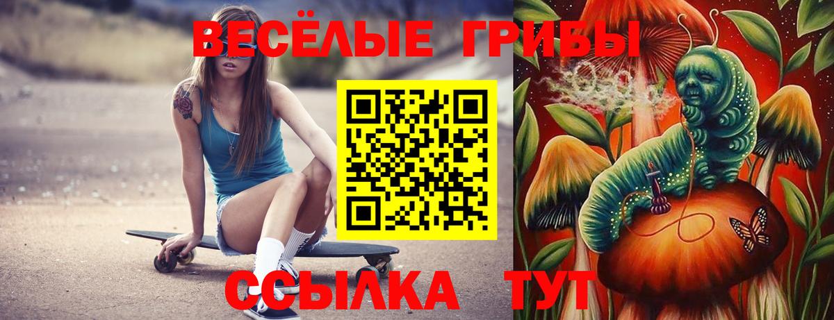 Галлюциногенные грибы Cubensis Кольчугино
