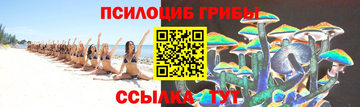 Галлюциногенные грибы прущие грибы  Вход с VPN  Галлюциногенные грибы мицелий  Кольчугино 