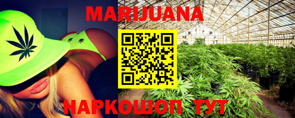 Канабис конопля Кольчугино